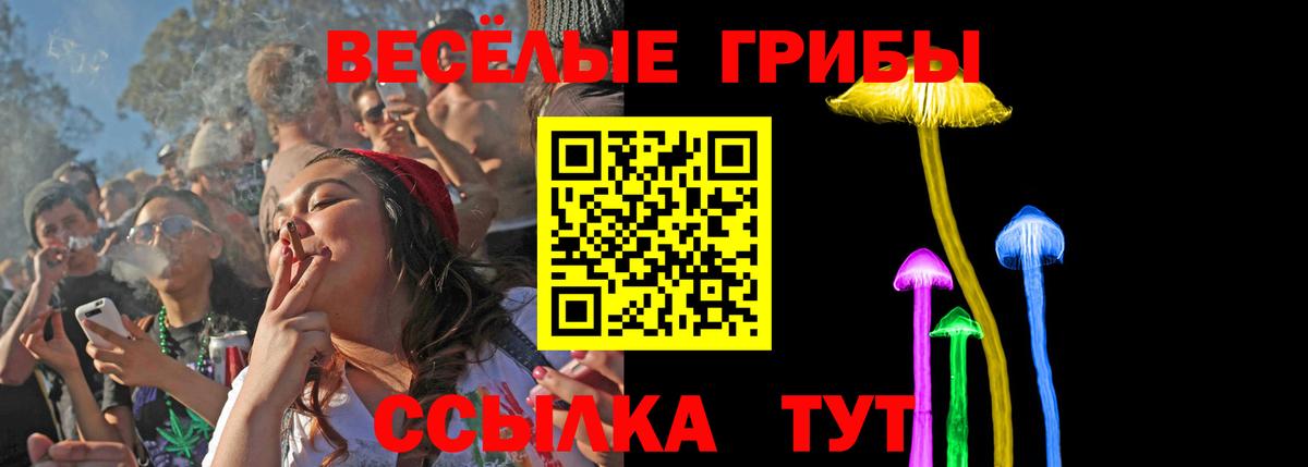 Псилоцибиновые грибы прущие грибы  Вход с VPN  Северск 