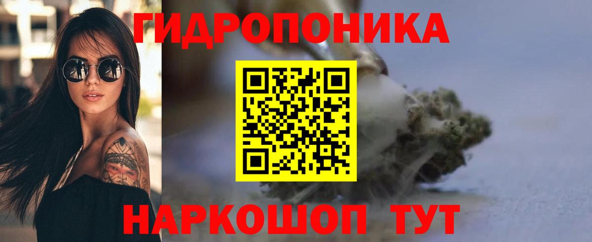 Шишки марихуана OG Kush  Конопля THC 21%  Бошки марихуана THC 21%  Вход с VPN  Марихуана Amnesia  Северск 